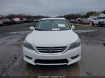 2014 Honda Accord Ex-l White vin: 1HGCR2F87EA307907