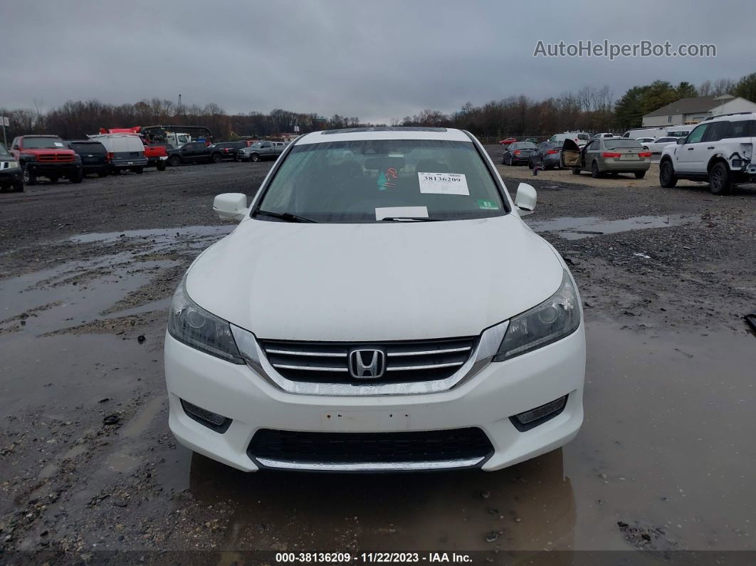 2014 Honda Accord Ex-l Белый vin: 1HGCR2F87EA307907