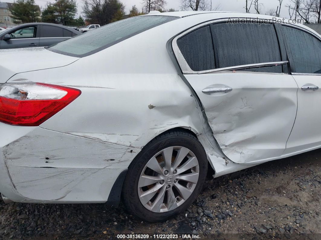 2014 Honda Accord Ex-l White vin: 1HGCR2F87EA307907