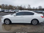 2014 Honda Accord Ex-l Белый vin: 1HGCR2F87EA307907