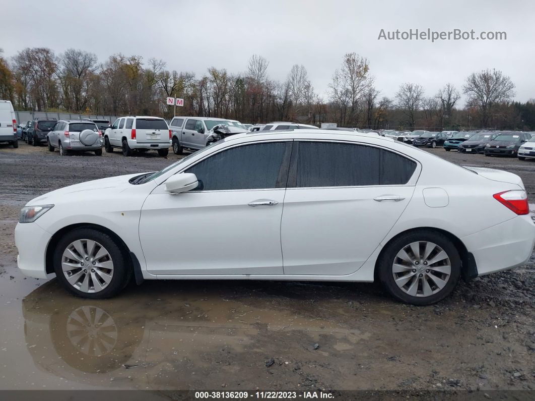 2014 Honda Accord Ex-l White vin: 1HGCR2F87EA307907