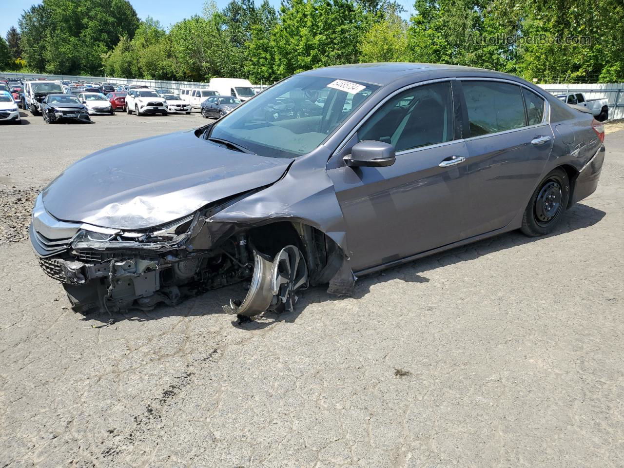 2016 Honda Accord Exl Gray vin: 1HGCR2F87GA033403