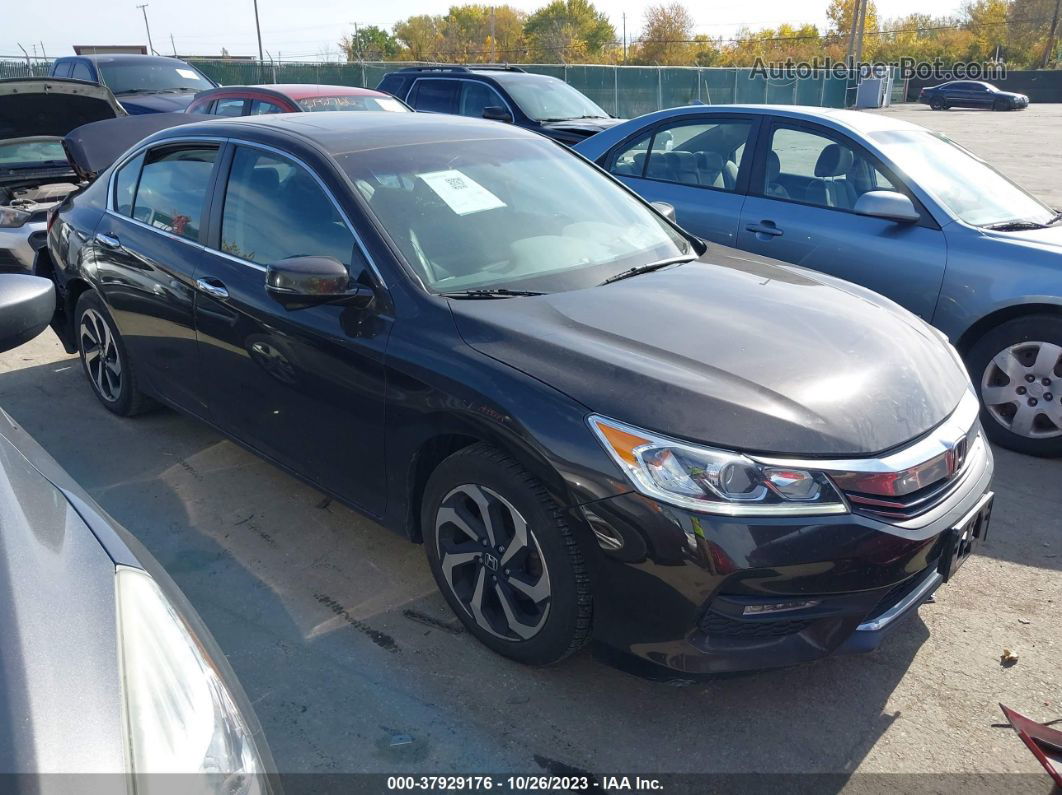 2017 Honda Accord Sedan Ex-l Black vin: 1HGCR2F87HA135057