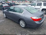 2014 Honda Accord Ex-l Gray vin: 1HGCR2F88EA072224