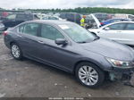 2014 Honda Accord Ex-l Серый vin: 1HGCR2F88EA072224