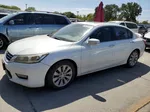 2014 Honda Accord Exl Белый vin: 1HGCR2F88EA077374