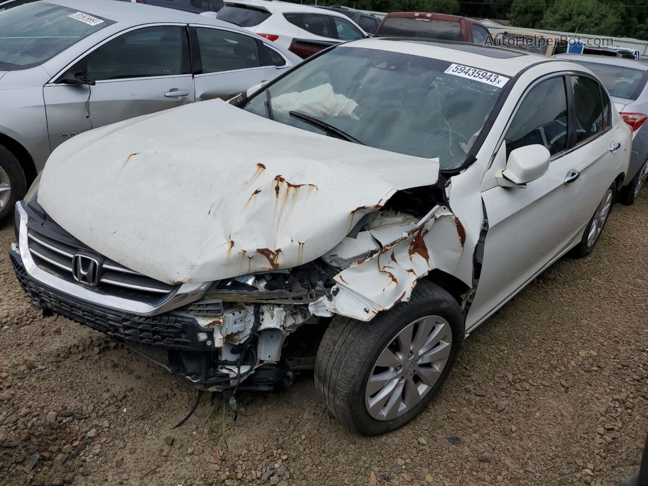 2014 Honda Accord Exl White vin: 1HGCR2F88EA092344