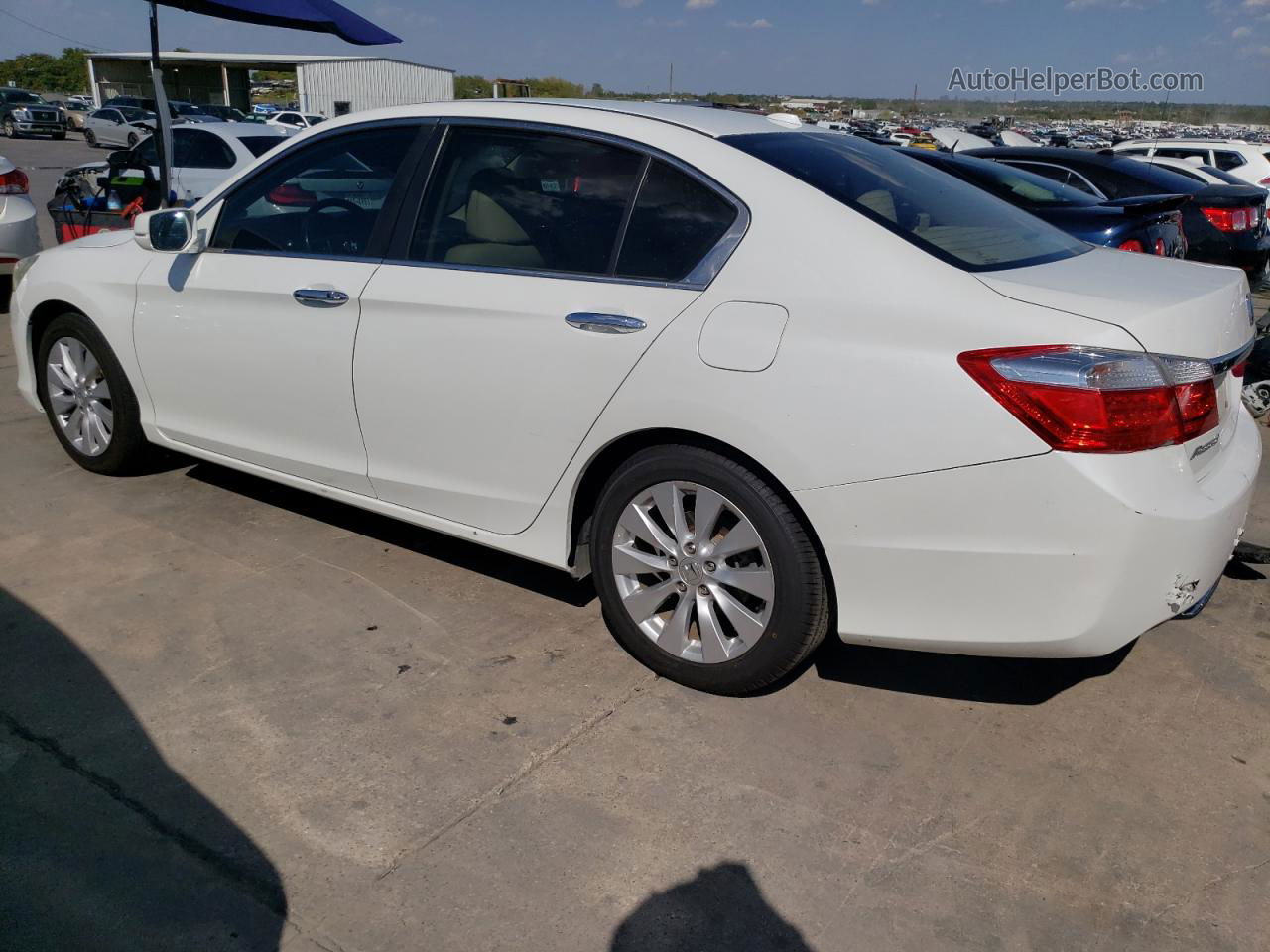 2014 Honda Accord Exl White vin: 1HGCR2F88EA154731