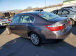 2014 Honda Accord Exl Gray vin: 1HGCR2F88EA224115