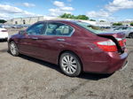 2014 Honda Accord Exl Burgundy vin: 1HGCR2F88EA227127