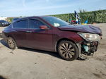 2014 Honda Accord Exl Бордовый vin: 1HGCR2F88EA279437