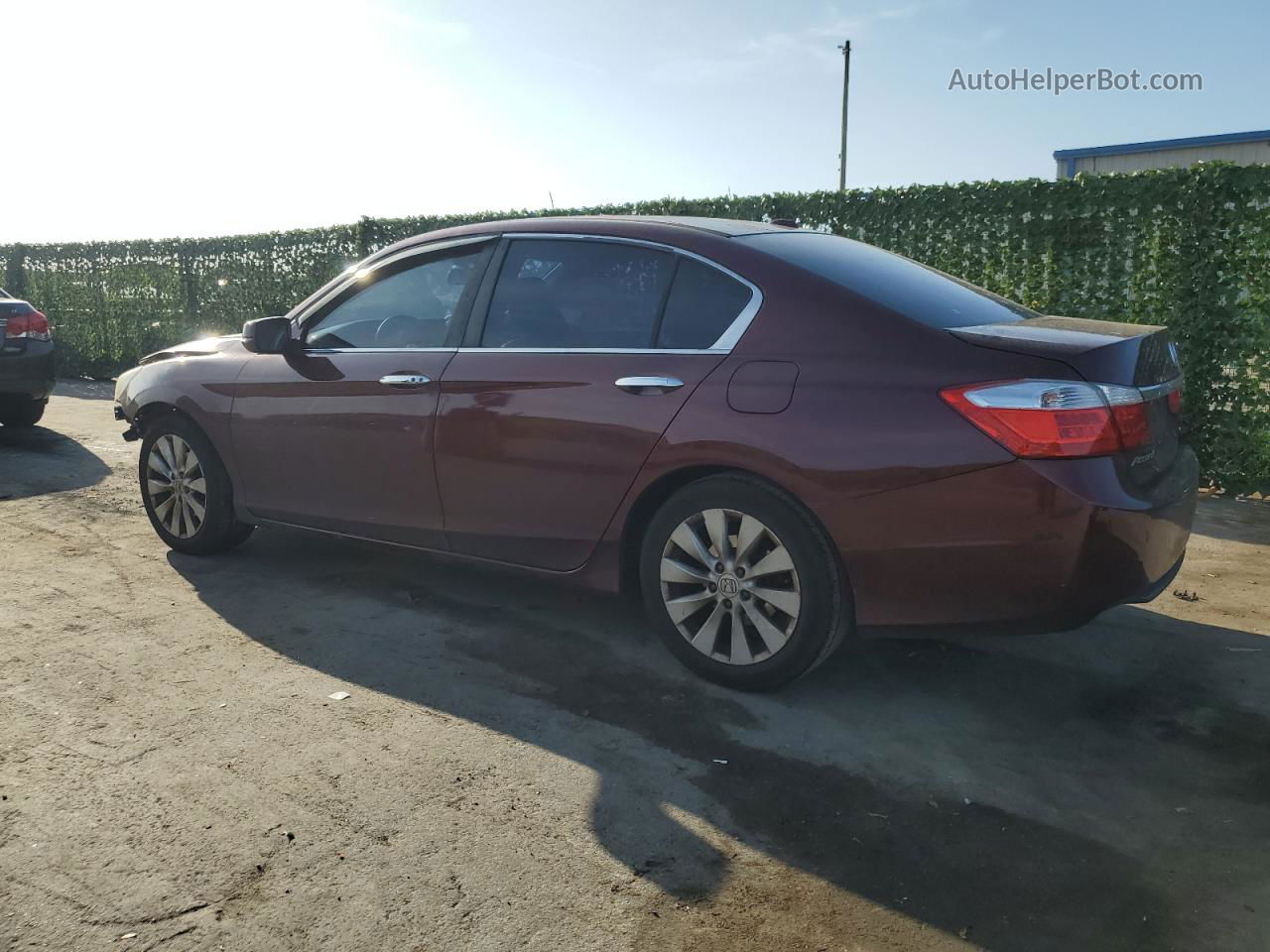 2014 Honda Accord Exl Burgundy vin: 1HGCR2F88EA279437