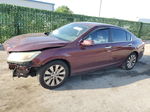 2014 Honda Accord Exl Burgundy vin: 1HGCR2F88EA279437