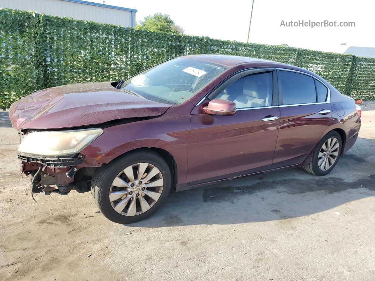 2014 Honda Accord Exl Burgundy vin: 1HGCR2F88EA279437