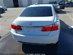 2015 Honda Accord Ex-l Белый vin: 1HGCR2F88FA048135