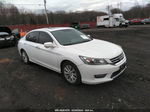 2015 Honda Accord Sedan Ex-l Белый vin: 1HGCR2F88FA184636