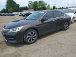 2016 Honda Accord Exl Brown vin: 1HGCR2F88GA046869