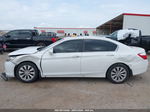 2014 Honda Accord Ex-l White vin: 1HGCR2F89EA163356