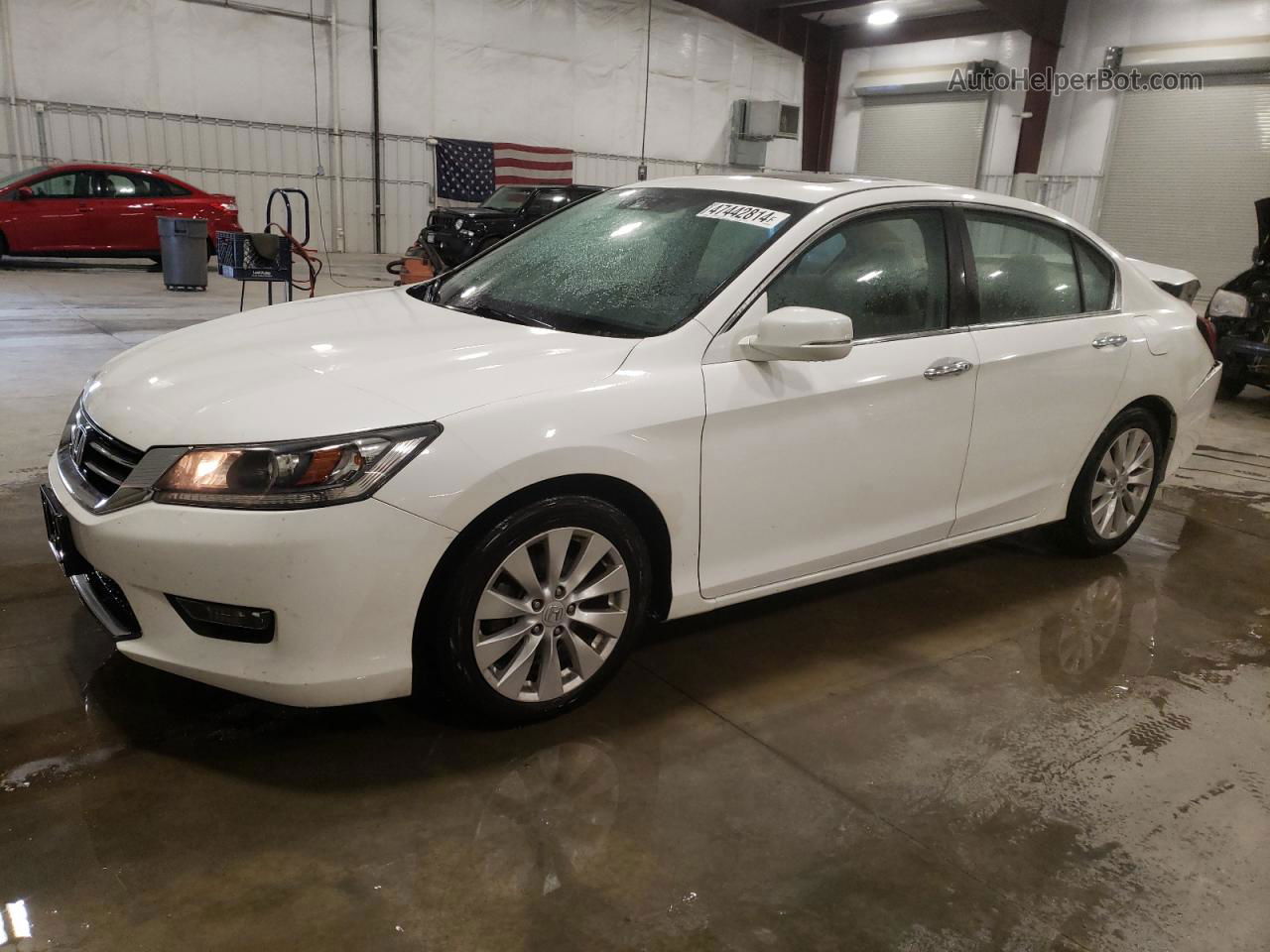 2014 Honda Accord Exl White vin: 1HGCR2F89EA207260