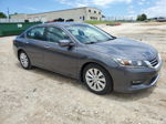 2014 Honda Accord Exl Gray vin: 1HGCR2F89EA216489