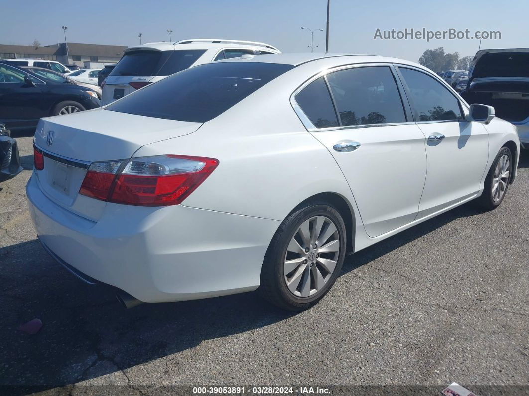 2015 Honda Accord Ex-l Белый vin: 1HGCR2F89FA066384