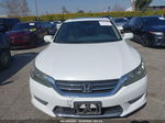 2015 Honda Accord Ex-l Белый vin: 1HGCR2F89FA066384