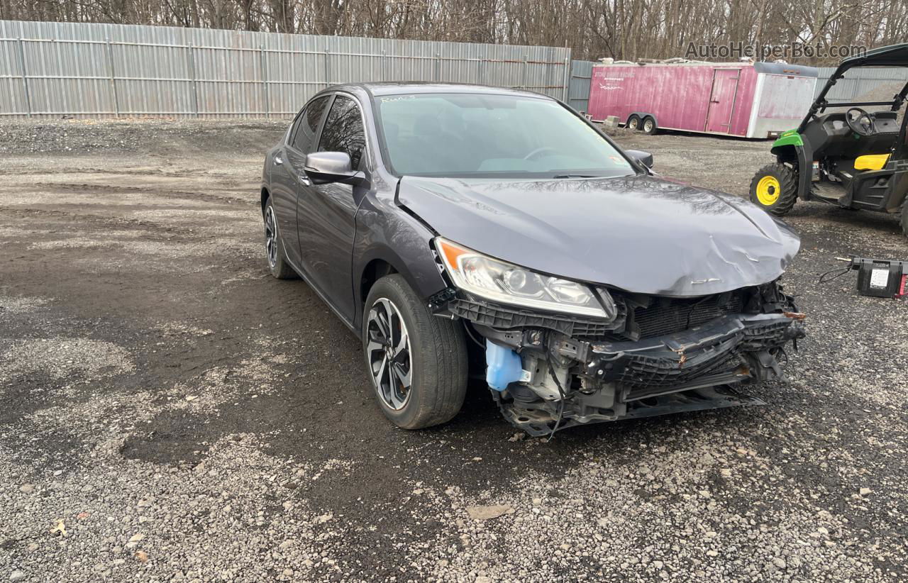 2017 Honda Accord Exl Серый vin: 1HGCR2F89HA029905