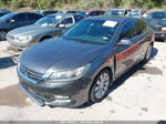 2014 Honda Accord Sdn Ex-l Серый vin: 1HGCR2F8XEA138644