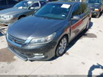 2014 Honda Accord Sdn Ex-l Gray vin: 1HGCR2F8XEA138644