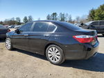 2014 Honda Accord Exl Black vin: 1HGCR2F8XEA153113