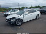 2014 Honda Accord Ex-l White vin: 1HGCR2F8XEA171224