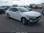 2014 Honda Accord Ex-l White vin: 1HGCR2F8XEA171224