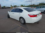 2014 Honda Accord Ex-l White vin: 1HGCR2F8XEA171224