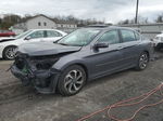 2016 Honda Accord Exl Charcoal vin: 1HGCR2F91GA134039