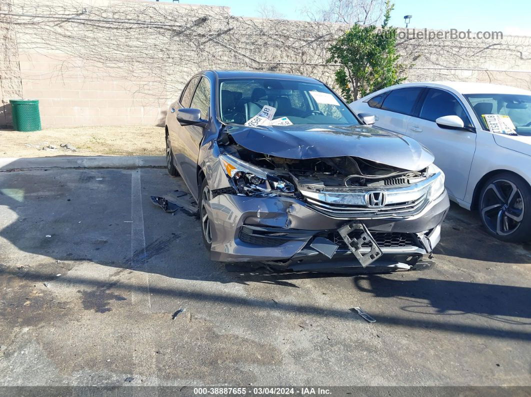 2016 Honda Accord Ex-l Серый vin: 1HGCR2F97GA012219