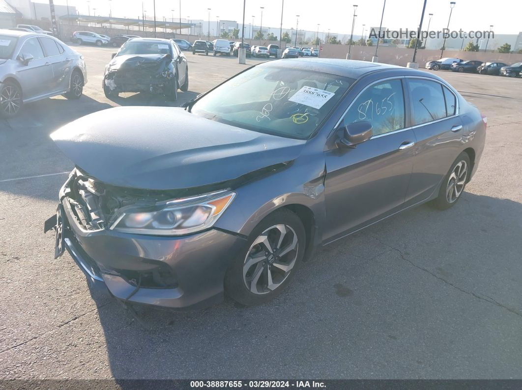 2016 Honda Accord Ex-l Серый vin: 1HGCR2F97GA012219