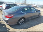 2017 Honda Accord Ex-l Gray vin: 1HGCR2F98HA041519