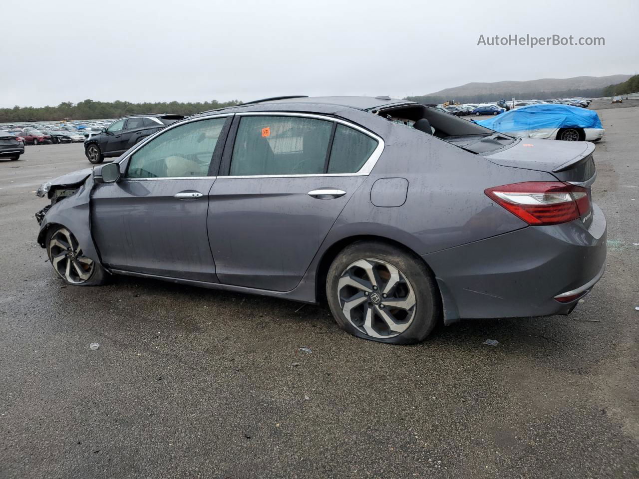 2017 Honda Accord Exl Gray vin: 1HGCR3F06HA042739