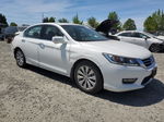 2014 Honda Accord Exl White vin: 1HGCR3F80EA017658