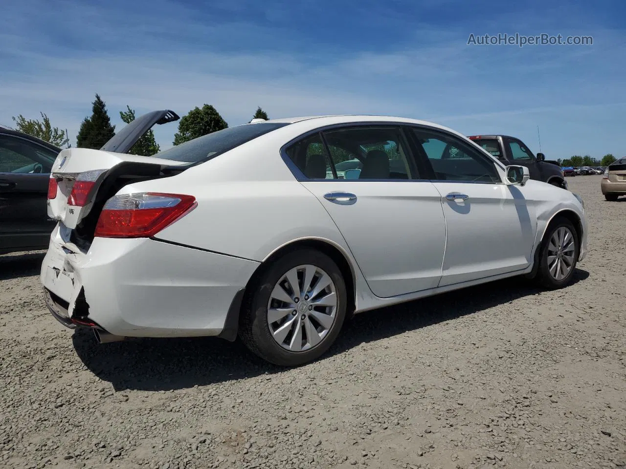 2014 Honda Accord Exl White vin: 1HGCR3F80EA017658