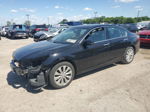 2014 Honda Accord Exl Black vin: 1HGCR3F81EA009455