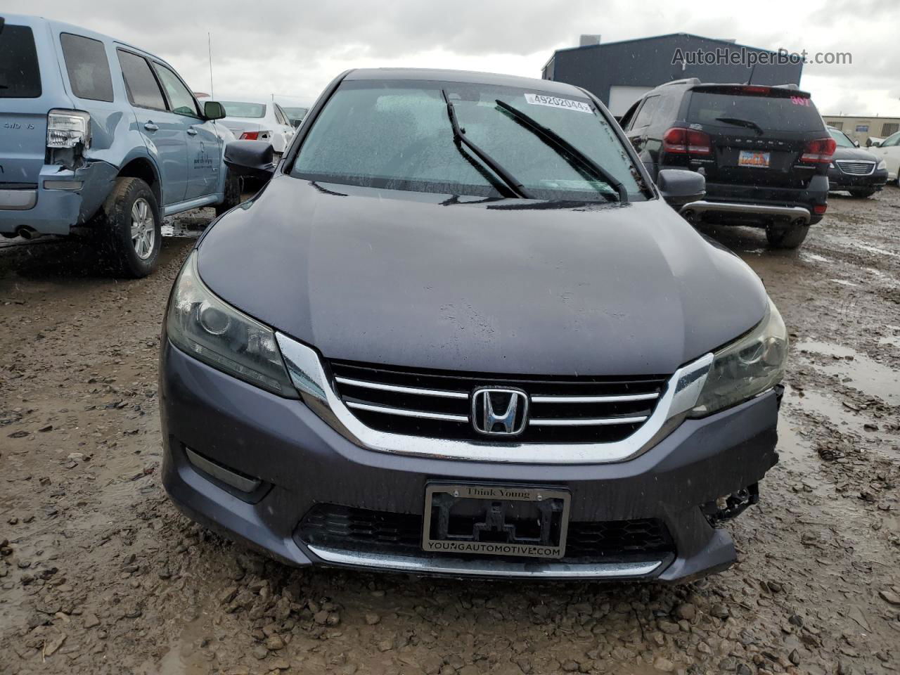 2014 Honda Accord Exl Gray vin: 1HGCR3F81EA033898