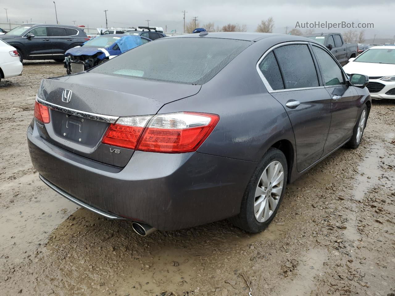 2014 Honda Accord Exl Серый vin: 1HGCR3F81EA033898