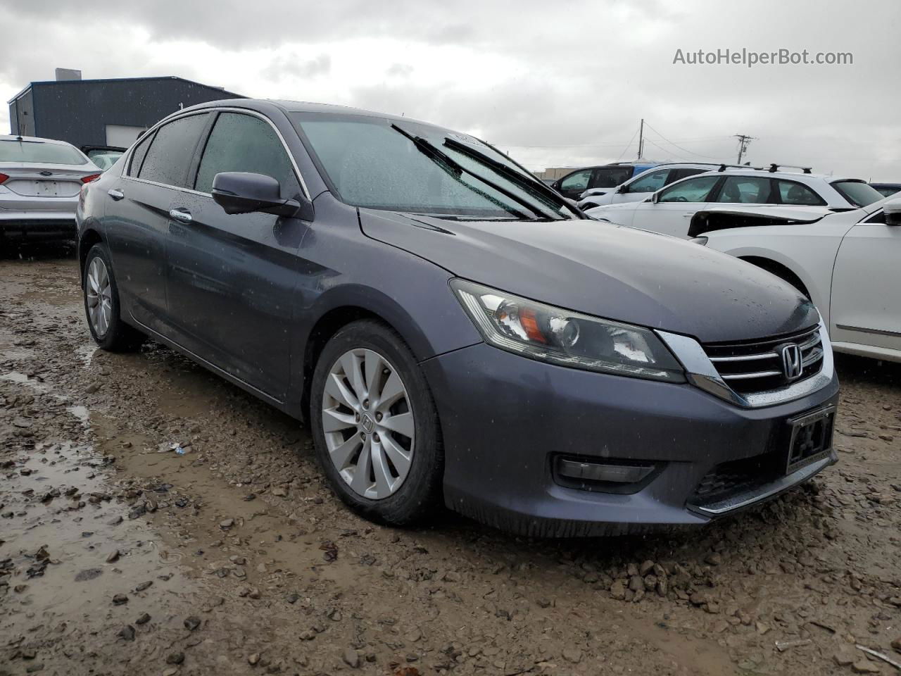 2014 Honda Accord Exl Gray vin: 1HGCR3F81EA033898