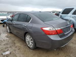 2014 Honda Accord Exl Gray vin: 1HGCR3F81EA033898