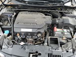 2014 Honda Accord Exl Серый vin: 1HGCR3F81EA033898