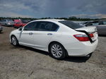 2014 Honda Accord Exl White vin: 1HGCR3F81EA036042