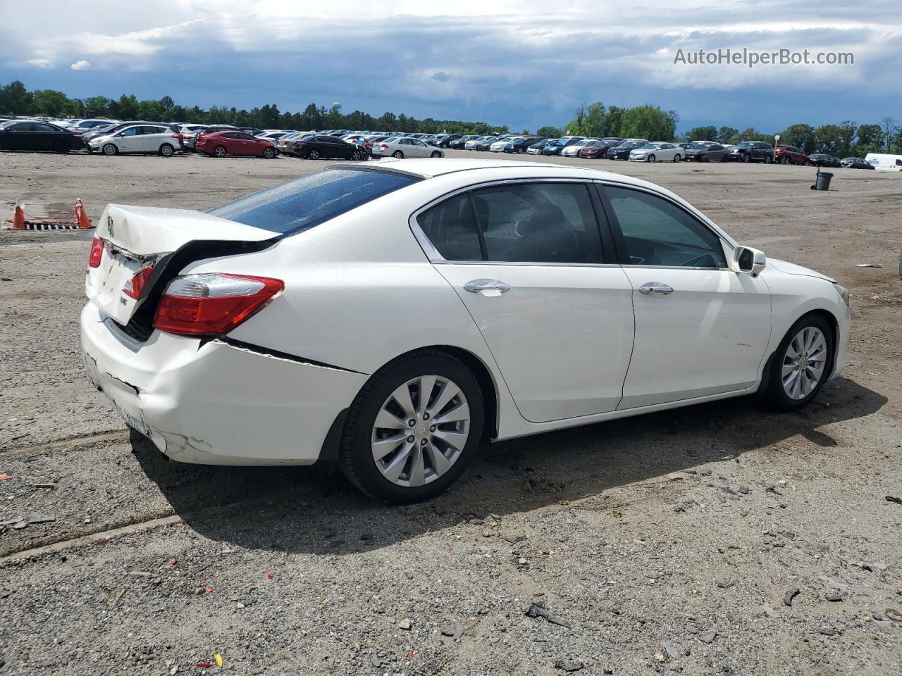 2014 Honda Accord Exl White vin: 1HGCR3F81EA036042