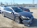 2014 Honda Accord Ex-l V-6 Серый vin: 1HGCR3F81EA041189