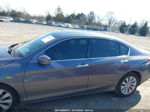 2014 Honda Accord Ex-l V-6 Gray vin: 1HGCR3F81EA041189